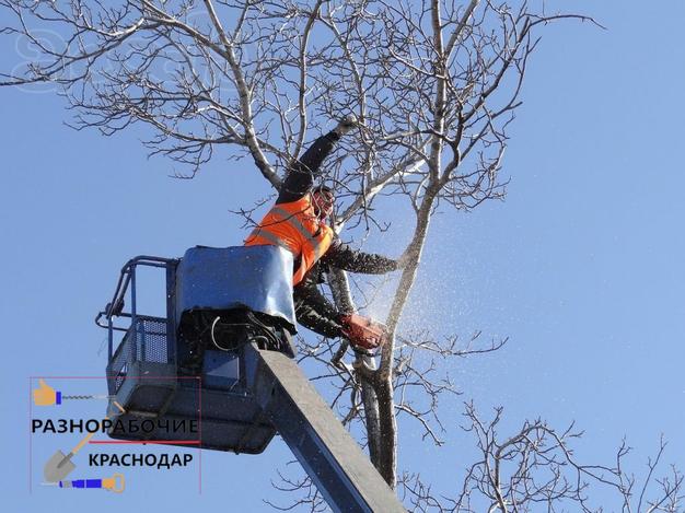 Благоустройство участков, спил деревьев